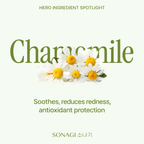 Matcha Hydrogel Collagen Eye Patches