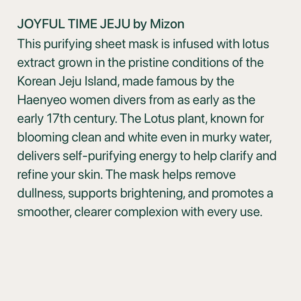 “Best of Korea” Christmas Mask Collection