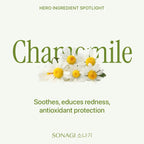 Matcha Hydrogel Collagen Eyepatches